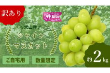 19-15_【期間限定・数量限定】訳あり犬山産シャインマスカット 約2キロ（2025年先行予約） ｜ ぶどう 甘い 2キロ 限定 夏 林ファーム 房 ブドウ 中玉 犬山 ご自宅用 ご褒美 訳アリ 小粒 シャインマスカット 種なし 皮ごと
