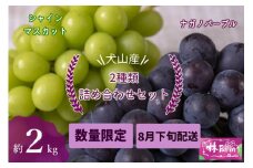 25-11_【期間限定・数量限定】犬山産 シャインマスカット＆ナガノパープル2種類詰め合わせ 約2キロ（2025年先行予約） ｜ ぶどう 甘い 2キロ 限定 夏 林ファーム 房 ブドウ ナガノパープル 犬山 ご自宅用 ご褒美 贈答 プレゼント シャインマスカット 種なし 皮ごと
