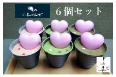 15-54_犬山よあけや　和チーズケーキ6個セット｜チーズケーキ 大人のおやつ 洋菓子 スイーツ デザート おやつ お土産 おいしい ご褒美 プレゼント 煎茶 ほうじ茶 いちご 6個 贈答 濃厚 和チーズケーキ 夜明屋 グルテンフリー