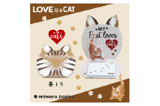 3-7_飛び出すねこ付箋 【NEKO-ppyJr.】(ネコッピージュニア) 茶トラ｜付箋 飛び出す ポップアップ 付せん 茶トラ 文具 メモ プレゼント 猫 ねこ 動物 かわいい しかけ メモ帳 ギフト 子供 子ども 孫 大人