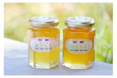 13-59_入鹿はちみつ180g ２本セット