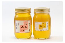 34-5_入鹿はちみつ600g ２本セット