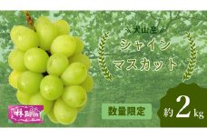 25-15_【期間限定・数量限定】犬山産 シャインマスカット 約2キロ ｜ ぶどう 甘い 2キロ 限定 夏 林ファーム 房 ブドウ 中玉 犬山 ご自宅用 贈答 贈り物 プレゼント ご褒美 小粒 シャインマスカット 種なし 皮ごと