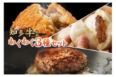 【知多牛使用】わくわく3種セット