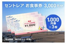 セントレアお食事券3,000円相当