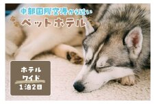 【海を一望できるドッグラン 利用チケット】ホテル ワイド1泊2日