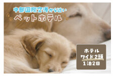 【海を一望できるドッグラン 利用チケット】ホテル ワイド2頭 1泊2日