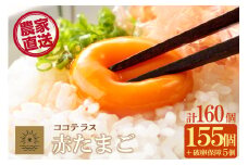 ココテラスの明日（赤たまご）155個+5個保証（計160個）【JGAP認証】