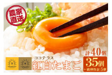 ココテラスの紅白たまご　35個 + 5個保証（計40個）【JGAP認証】