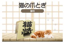 猫の爪とぎ　猫将