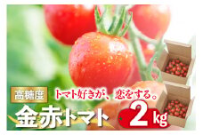 トマト好きが、恋をする。　2kg　金赤トマトミニ