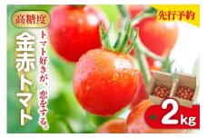 【先行予約】【2025年12月頃から順次発送】トマト好きが、恋をする。　2kg　金赤トマトミニ 野菜 新鮮野菜 夏野菜 旬野菜 生野菜 ミニトマト プチトマト フルーツ トマト 国産 味が濃い 濃厚 高糖度 甘い ビタミンC リコピン お弁当 サラダ マリネ 前菜 お取り寄せ 特産品 愛知県 常滑市