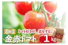 トマト好きが、恋をする。　1kg　金赤トマトミニ