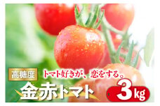 トマト好きが、恋をする。　3kg　金赤トマトミニ