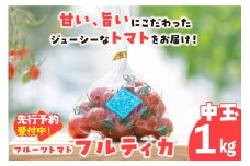 【先行予約】【2025年12月頃から順次発送】フルーツトマト　中玉フルティカ1kg　よこた農園 フフルティカ 野菜 トマト 新鮮野菜 太陽の恵み 中玉トマトトマト料理 愛知県産 フルーツとまと 甘いトマト お取り寄せ グルメ 常滑市