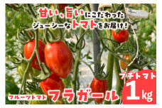 フルーツトマト　フラガール1kg　よこた農園　（へたなし ミニトマト プチトマト ぷちとまと 高糖度）