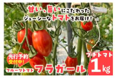 【先行予約】【2025年12月頃から順次発送】フルーツトマト　フラガール1kg（へたなし）　よこた農園　フラガール プチトマト 野菜 トマト 新鮮野菜 太陽の恵み トマト料理 愛知県産 フルーツとまと 甘いトマト お取り寄せ グルメ 常滑市 へたなし