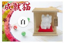 成就猫（カラー：白）