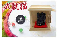 成就猫（カラー：黒）