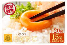ココテラスの朝日（白たまご）15個 + 5個保証（計20個）【JGAP認証】