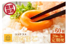 【3ヵ月定期便】ココテラスの朝日（白たまご）15個 + 5個保証（計20個）【JGAP認証】