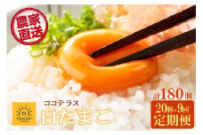 【9ヵ月定期便】ココテラスの朝日（白たまご）15個 + 5個保証（計20個）【JGAP認証】