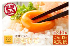 【12ヵ月定期便】ココテラスの朝日（白たまご）15個 + 5個保証（計20個）【JGAP認証】