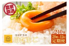 【12ヵ月定期便】ココテラスの朝日（白たまご）15個 + 5個保証（計20個）【JGAP認証】