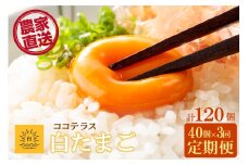 【3ヵ月定期便】ココテラスの朝日（白たまご）35個 + 5個保証（計40個）【JGAP認証】