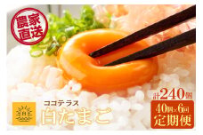 【6ヵ月定期便】ココテラスの朝日（白たまご）35個 + 5個保証（計40個）【JGAP認証】