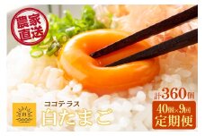 【9ヵ月定期便】ココテラスの朝日（白たまご）35個 + 5個保証（計40個）【JGAP認証】