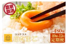【12ヵ月定期便】ココテラスの朝日（白たまご）35個 + 5個保証（計40個）【JGAP認証】