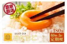 【3ヵ月定期便】ココテラスの朝日（白たまご）55個 + 5個保証（計60個）【JGAP認証】