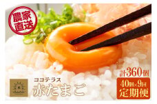 【9ヵ月定期便】ココテラスの明日（赤たまご）35個 + 5個保証（計40個）【JGAP認証】