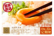 【12ヵ月定期便】ココテラスの明日（赤たまご）35個 + 5個保証（計40個）【JGAP認証】