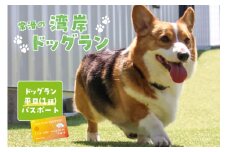 【海を一望できるドッグラン 利用チケット】ドッグラン平日パス 1頭