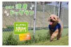 【海を一望できるドッグラン 利用チケット】ドッグラン年パス 1頭