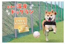 【海を一望できるドッグラン 利用チケット】トワテラメンバーズ