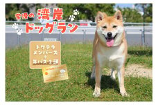 【海を一望できるドッグラン 利用チケット】トワテラメンバーズ＋年パス 1頭