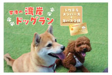 【海を一望できるドッグラン 利用チケット】トワテラメンバーズ＋年パス 2頭