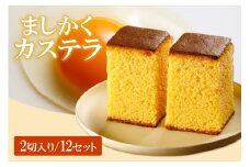 ココテラスのましかくカステラ（2個）12セット