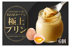 ココテラスの名古屋コーチン【極上】プリン（6個セット）
