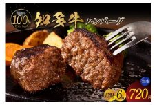 知多牛100％手作りハンバーグ　120g×6個入り