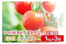 【3ヵ月定期便（隔月）】トマト好きが、恋をする。 金赤トマト 1kg×3回（計3kg）金赤トマトミニ 野菜 新鮮野菜 夏野菜 旬野菜 生野菜 ミニトマト プチトマト フルーツ トマト 国産 味が濃い 濃厚 高糖度 甘い ビタミンC リコピン お弁当 サラダ