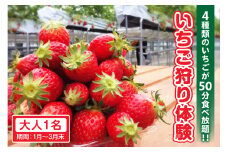 4種類のいちごが50分食べ放題！！いちご狩り体験（1月～3月末）大人1名