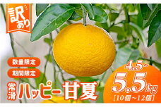 【訳あり】常滑ハッピー甘夏