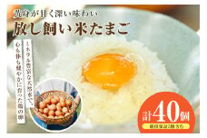 放し飼い米たまご35個+5個保証（計40個）