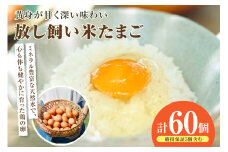 放し飼い米たまご55個+5個保証（計60個）