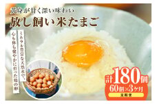 【3か月定期便】放し飼い米たまご55個+5個保証（計60個）