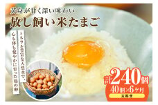 【6か月定期便】放し飼い米たまご35個+5個保証（計40個）